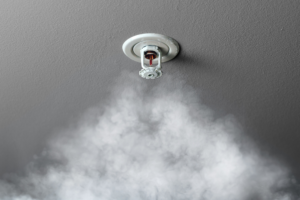 Miami Fire Sprinkler Systems