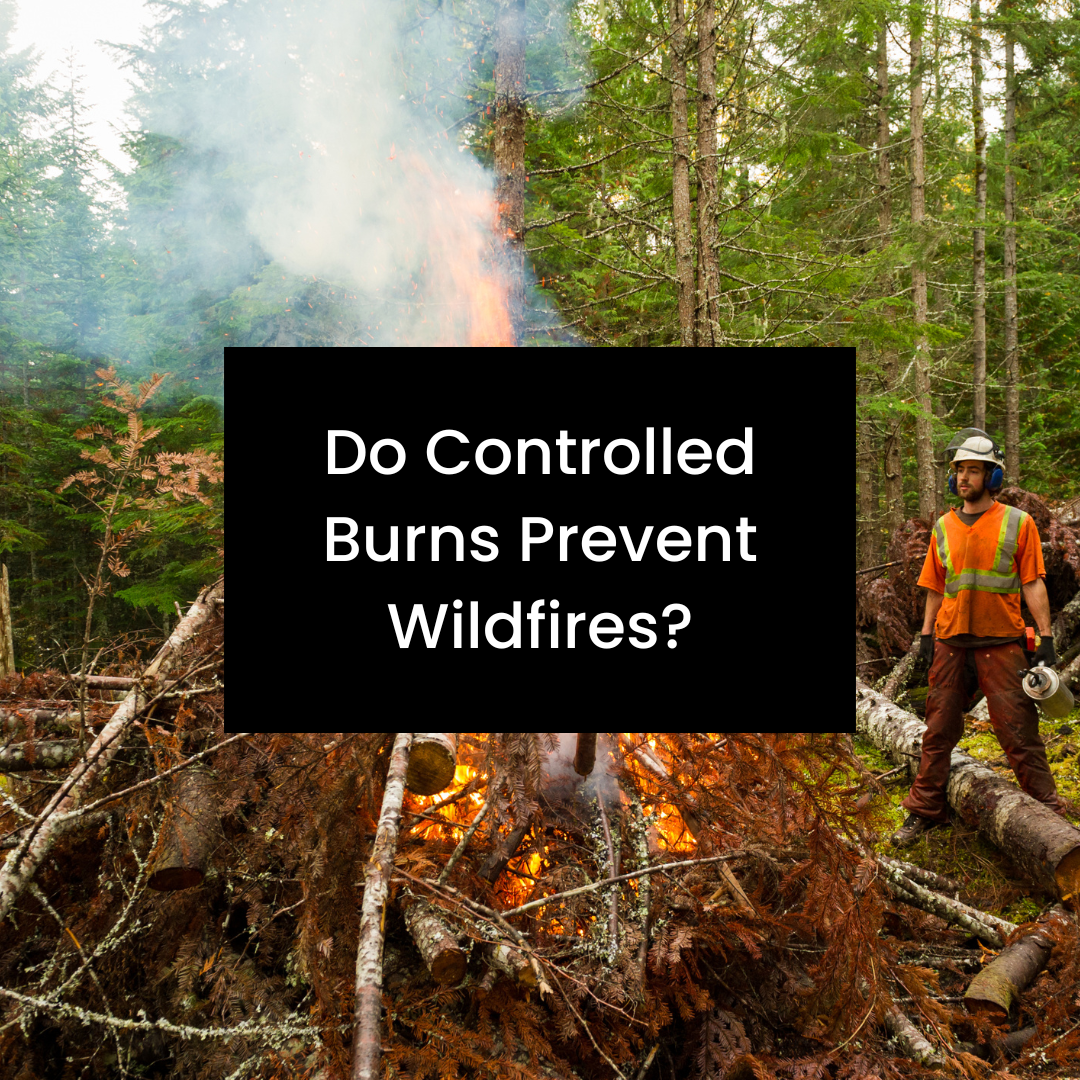 Do Controlled Burns Prevent Wildfires